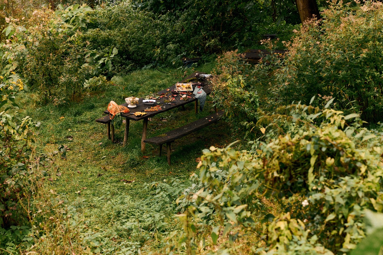 An intimate garden dinner surrounded by greenery