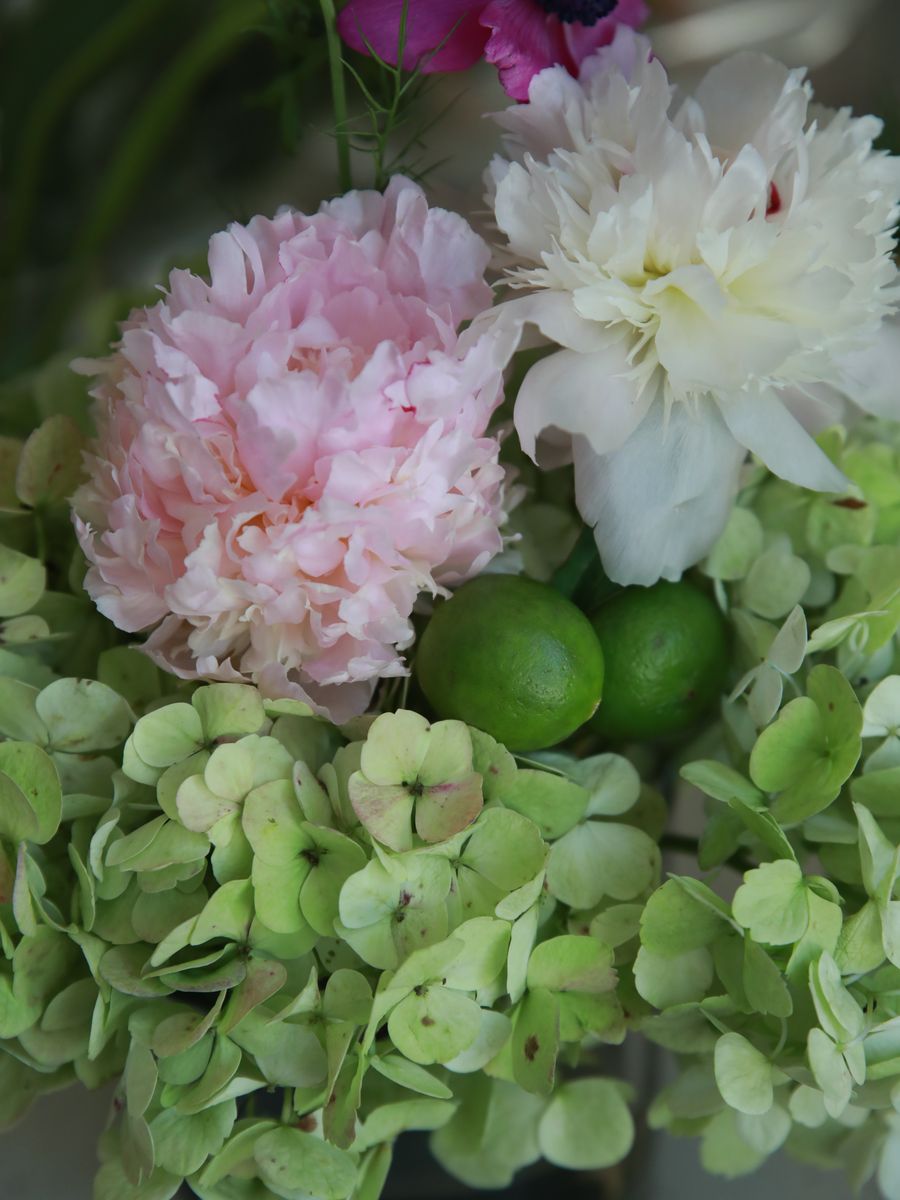 Sucker Floral Studio — July 2 shoot 3