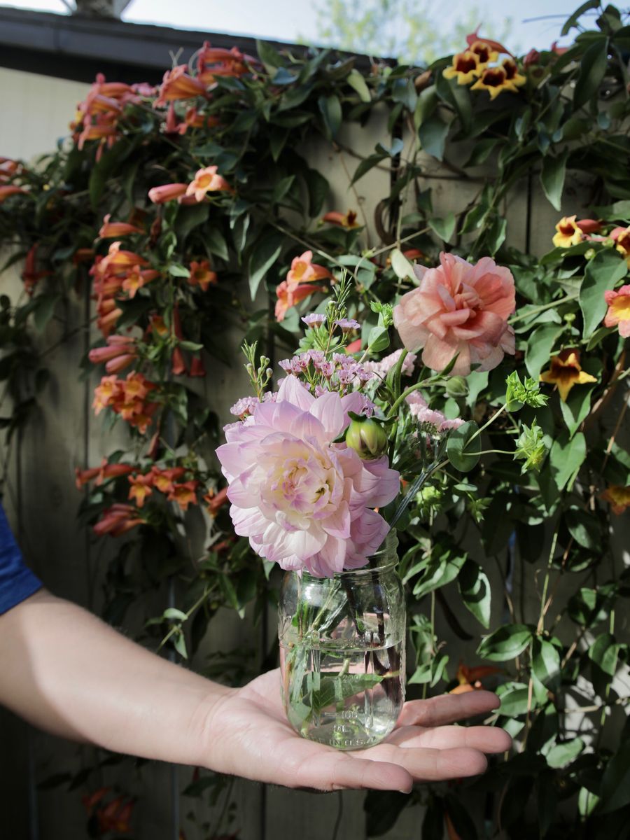 Sucker Floral Studio — Garden rose, in hand