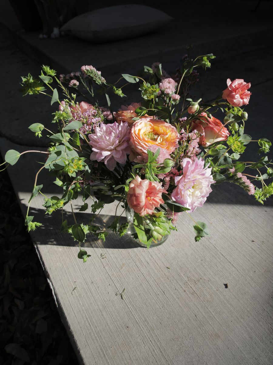 Sucker Floral Studio — Roses, climbing