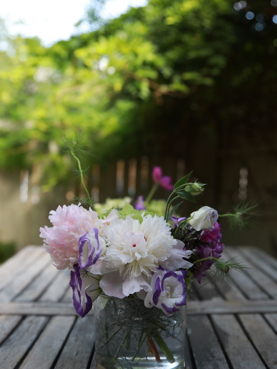 Sucker Floral Studio — July 2 shoot 5